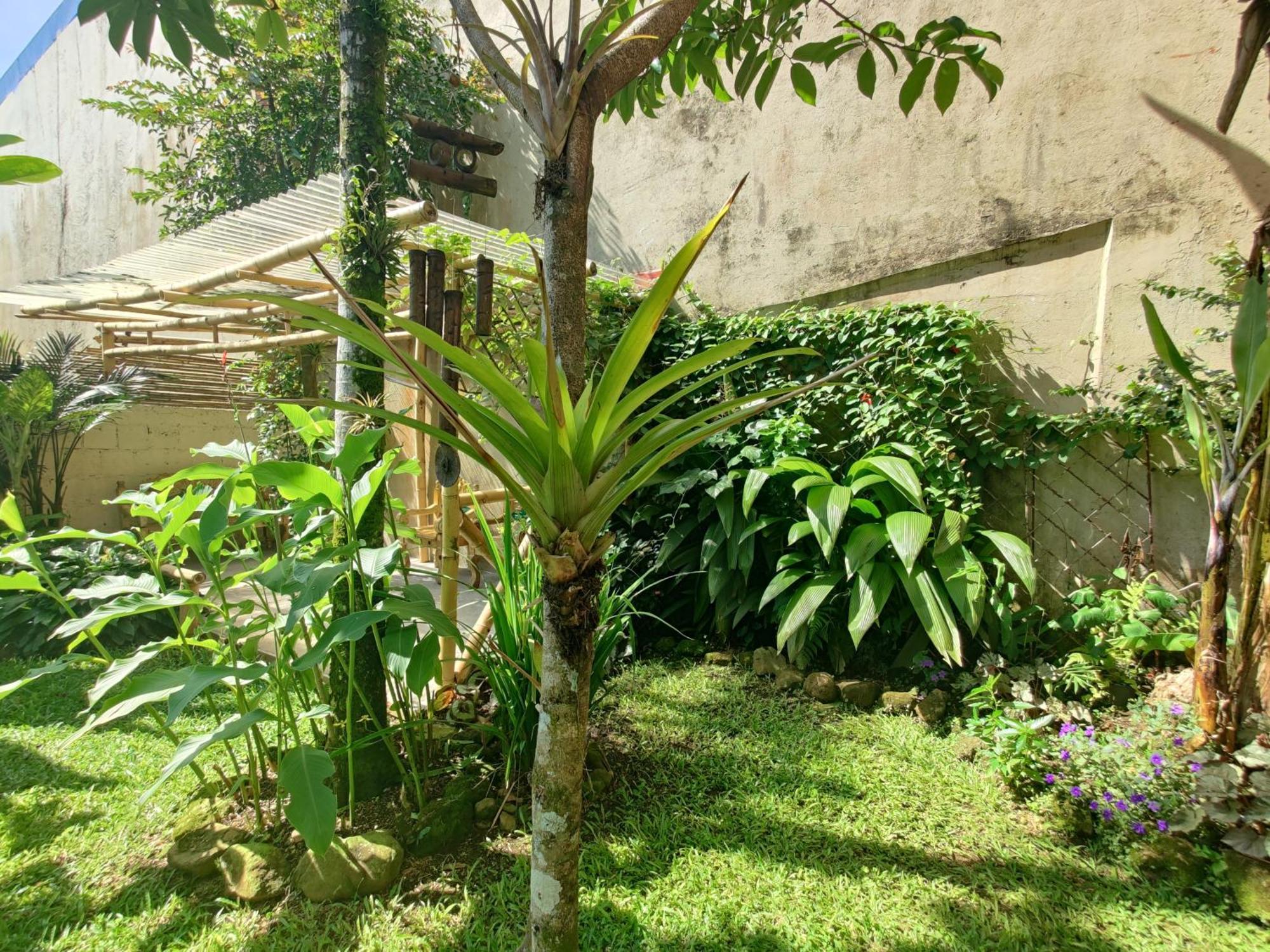 Casa De Lis Hotel & Tourist Info Centre Turrialba Bagian luar foto