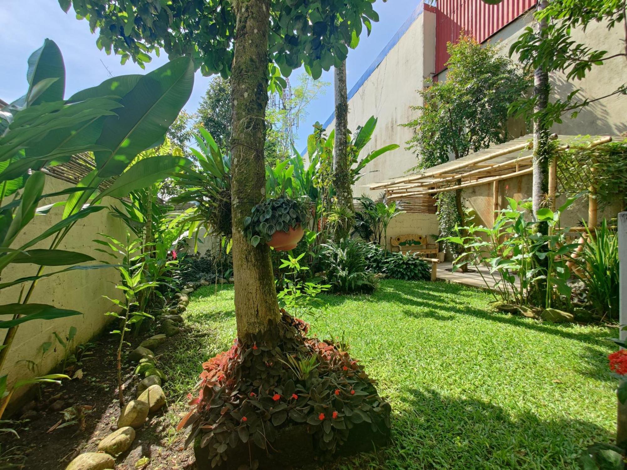 Casa De Lis Hotel & Tourist Info Centre Turrialba Bagian luar foto