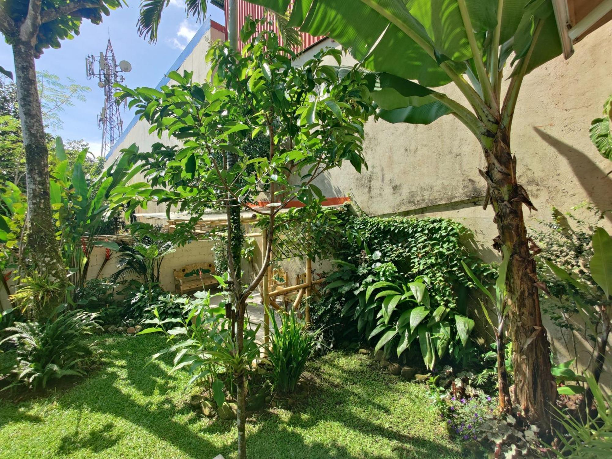 Casa De Lis Hotel & Tourist Info Centre Turrialba Bagian luar foto